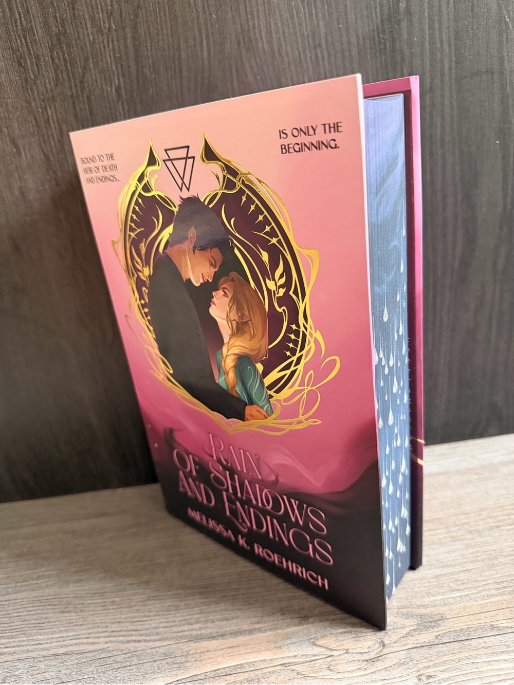 Bookish Box Rain of Shadows and Endings by Melissa K. Roehrich